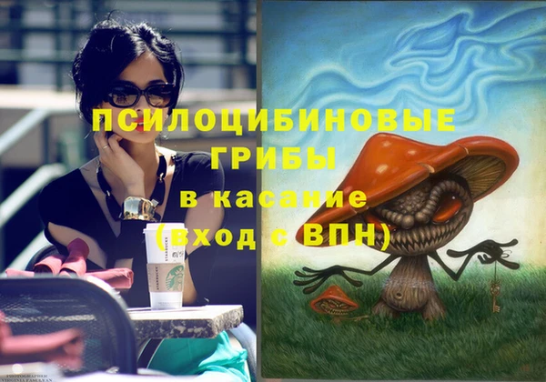стафф Пересвет