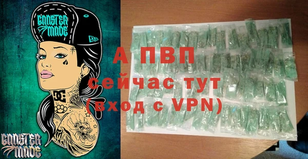 гидра Пестово