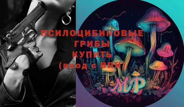 стафф Пересвет