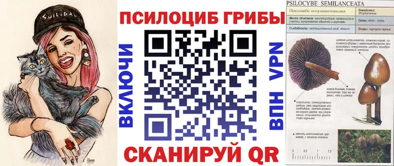 Псилоцибиновые грибы ЛСД МЕГА ссылка Ялта