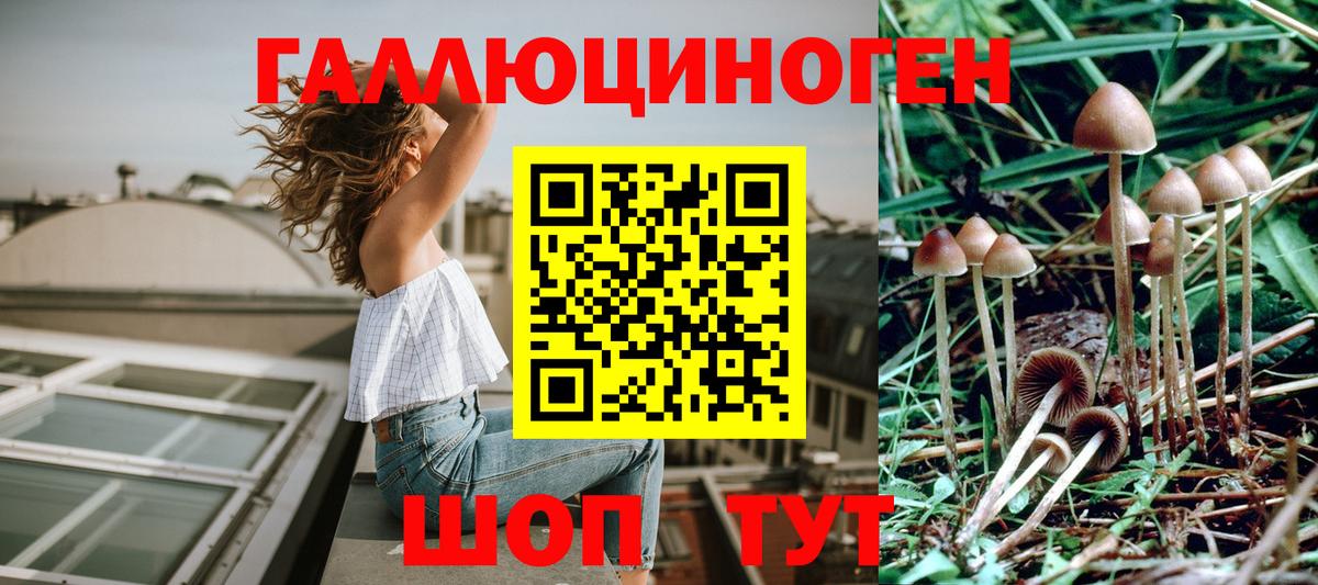 Псилоцибиновые грибы Psilocybine cubensis  Ялта 